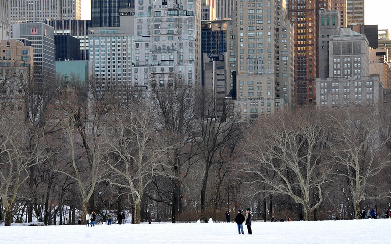 People in Snowy Park — White