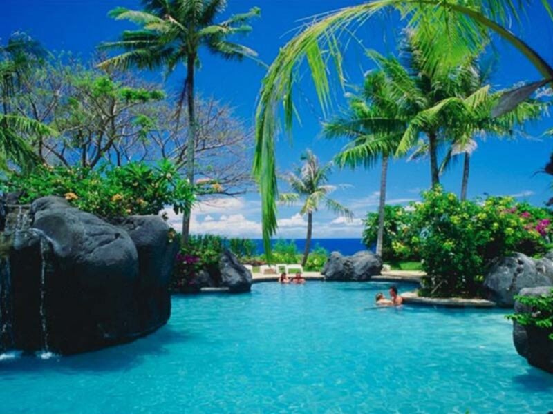 People in Tropical Pool