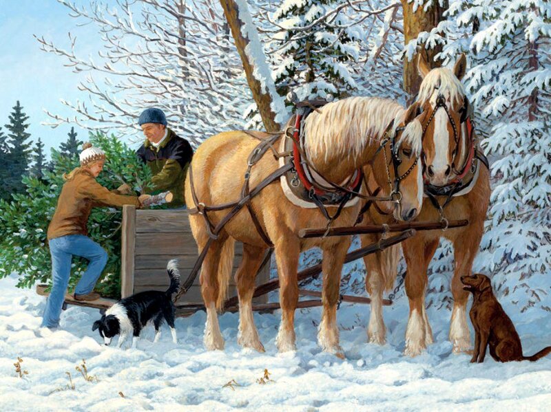 People Loading Christmas Tree