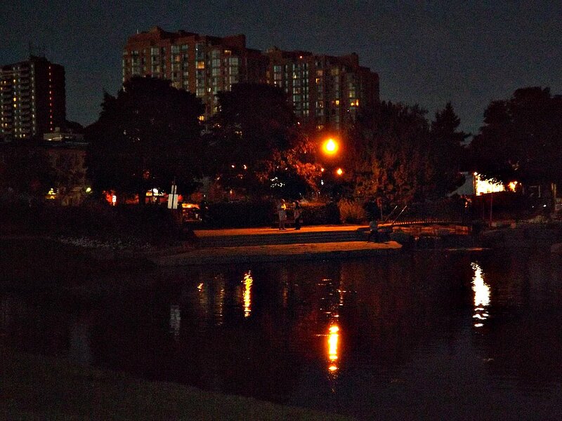 People Near Pond at Night