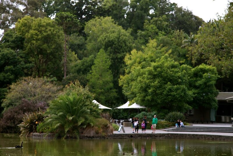 People Near Pond in Park