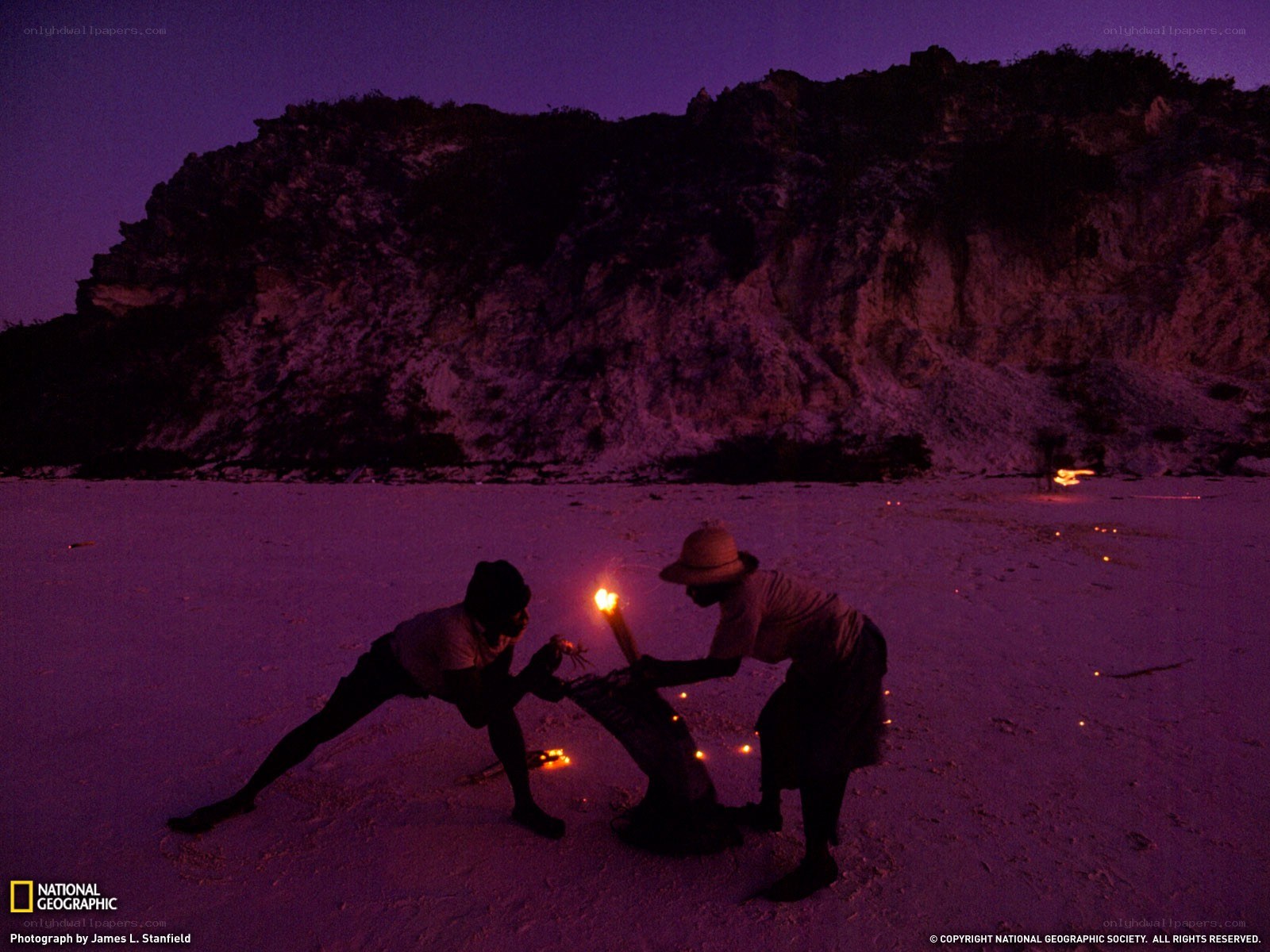 People on a beach at night