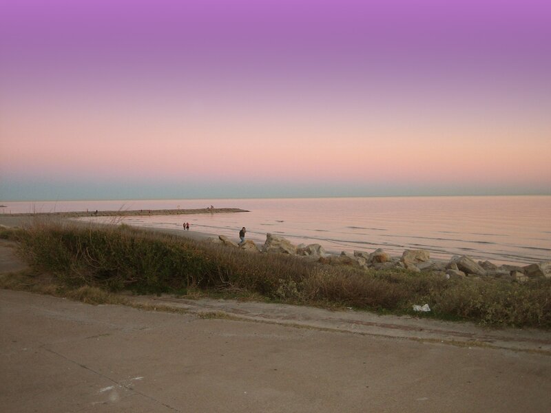 People on a Beach — Purple