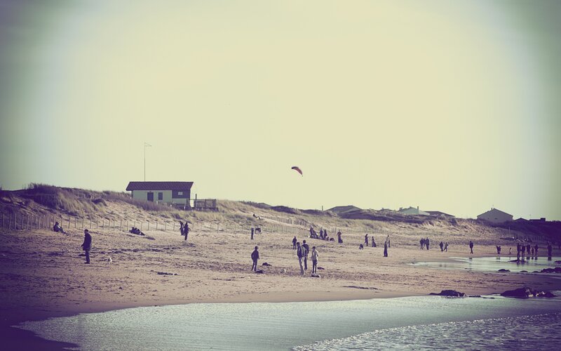 People on a beach with a kite