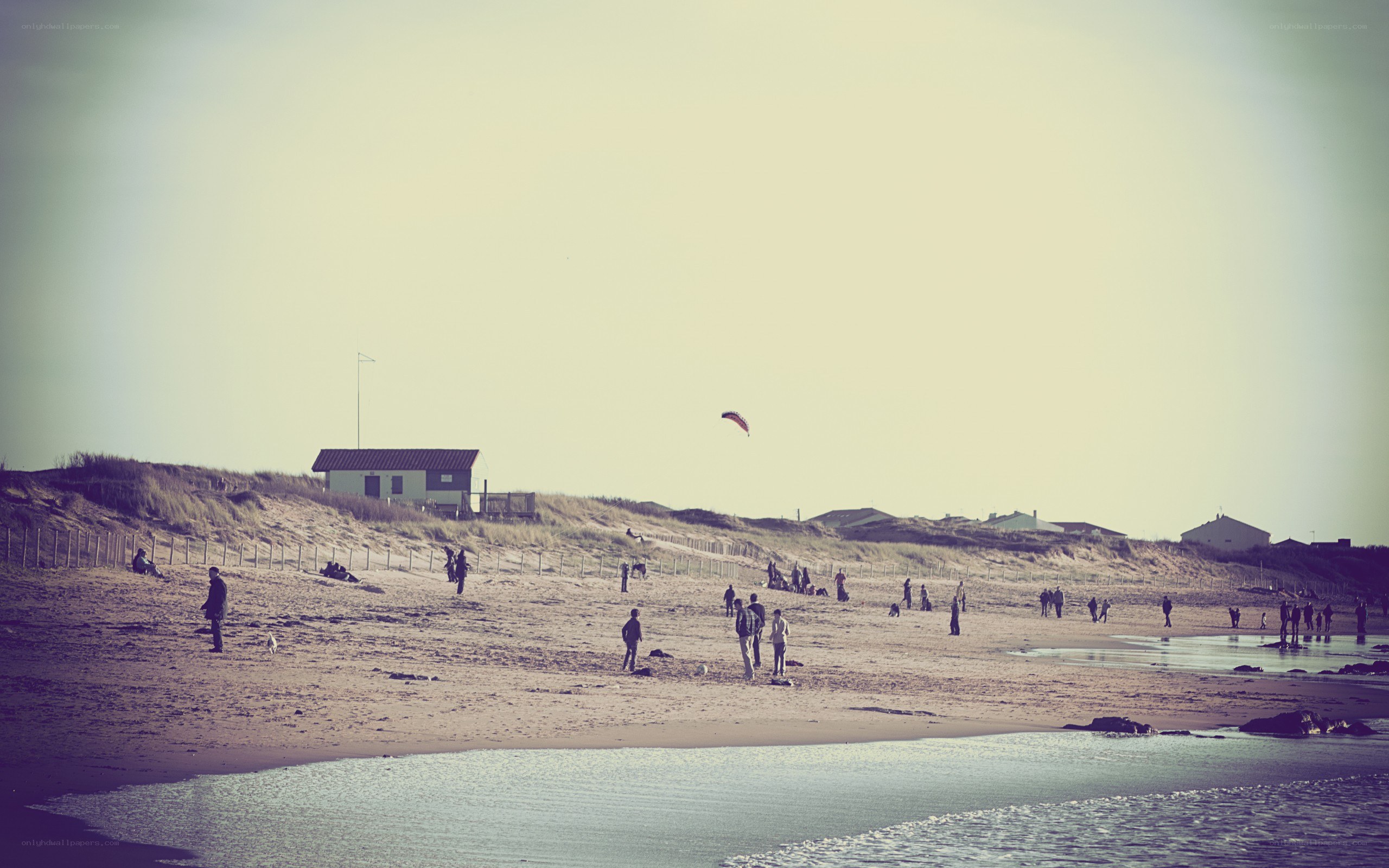 People on a beach with a kite