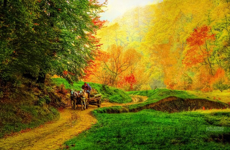 People on a Cart