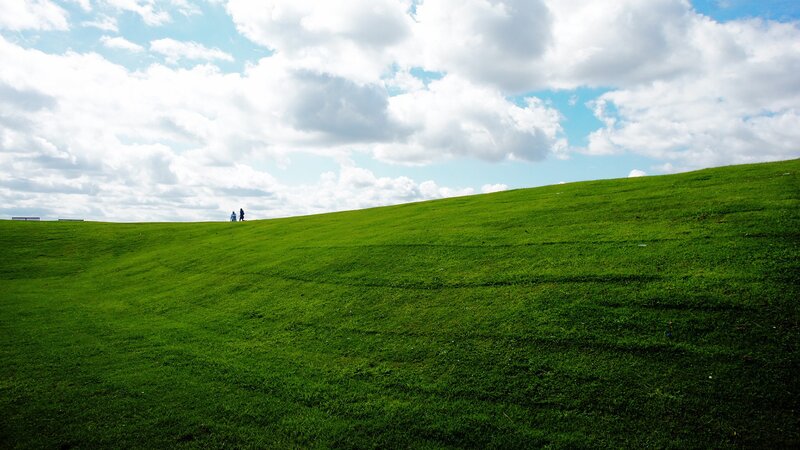 People on a grassy hill