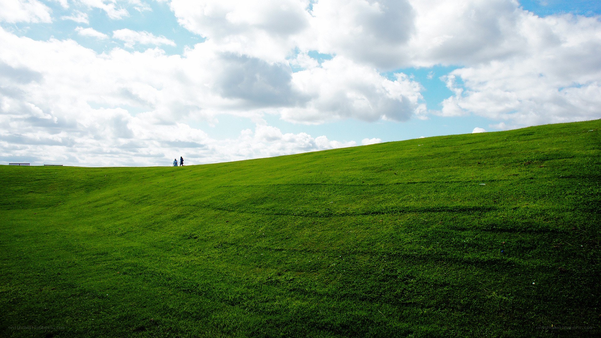 People on a grassy hill