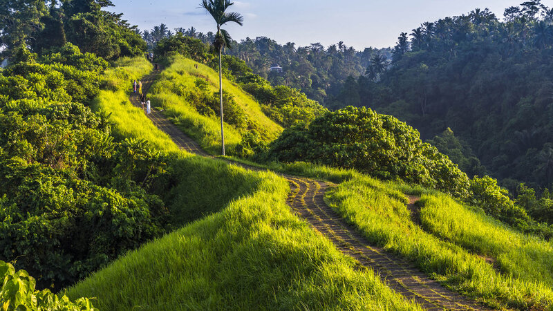 People on a Hill Path