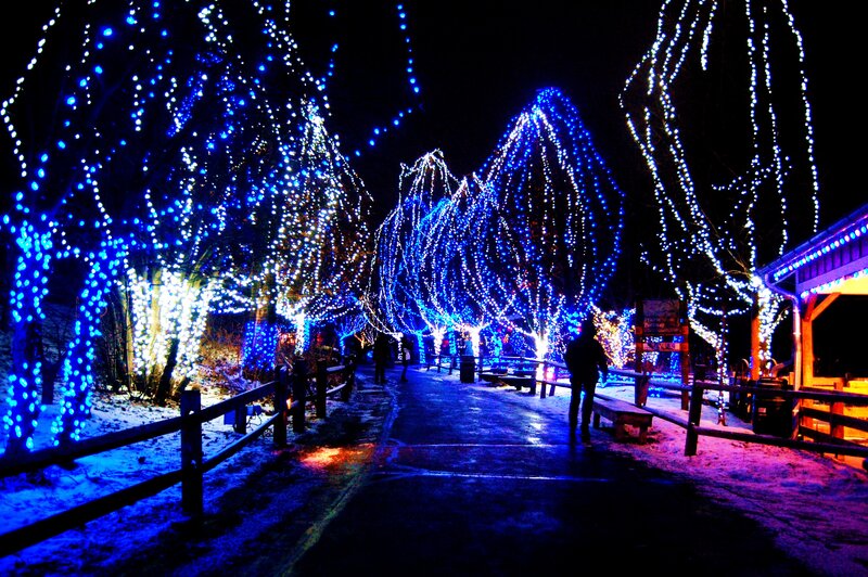 People on a Lit Path — Blue