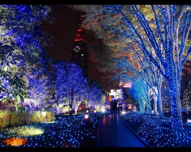People on a Lit Path