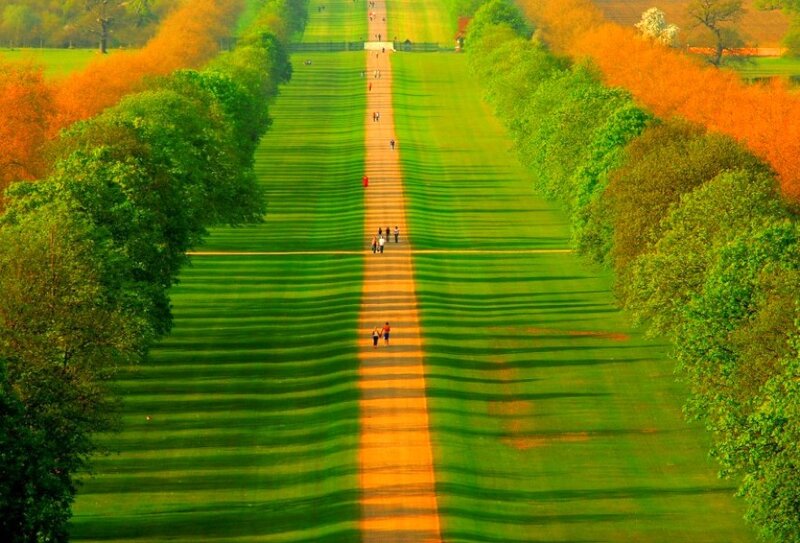 People on a Long Path — Green