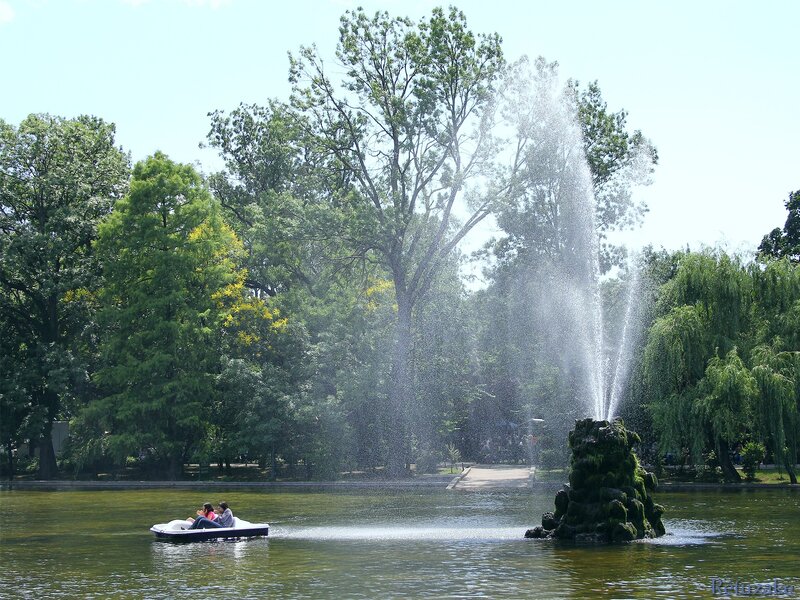 People on a paddle boat near a fountain