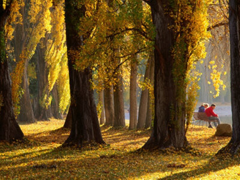 People on a Park Bench