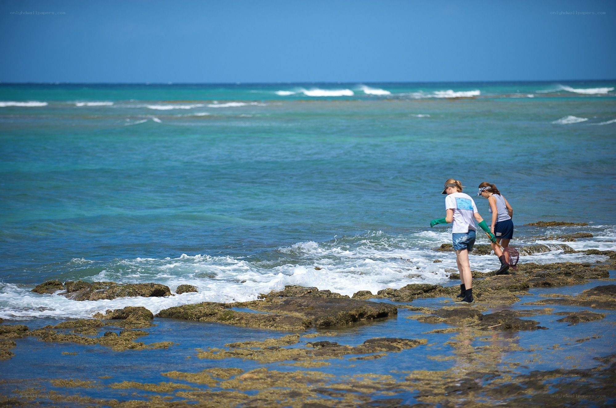 People on a rocky beach
