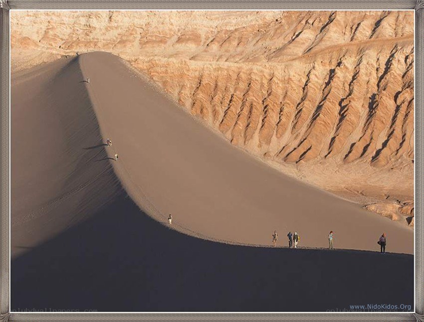 People on a sand dune