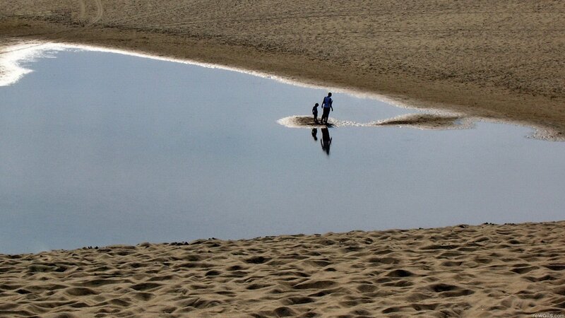 People on a sandbar in water