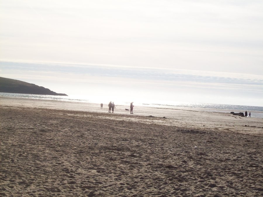People on a sandy beach
