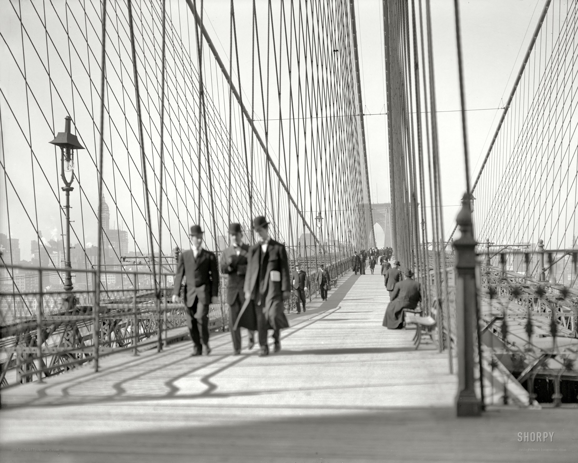 People on a suspension bridge