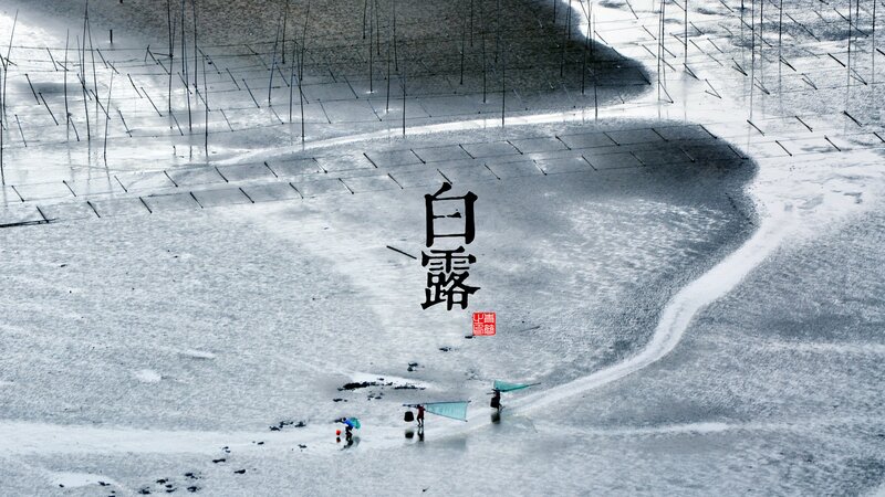People on a Tidal Flat