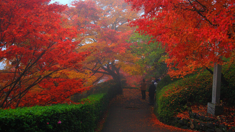 People on Autumn Path