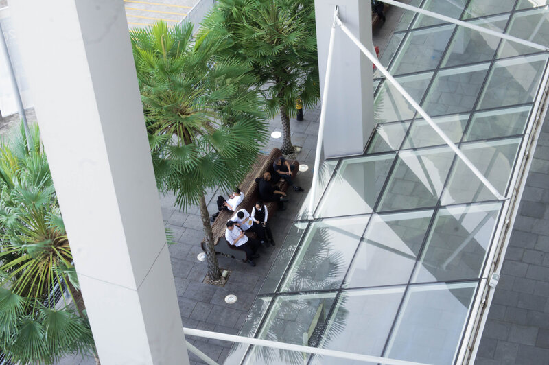 People on Bench under Palm Trees