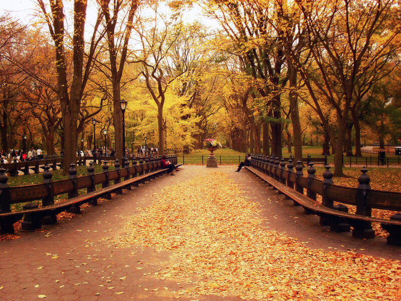People on Benches in Park — Yellow