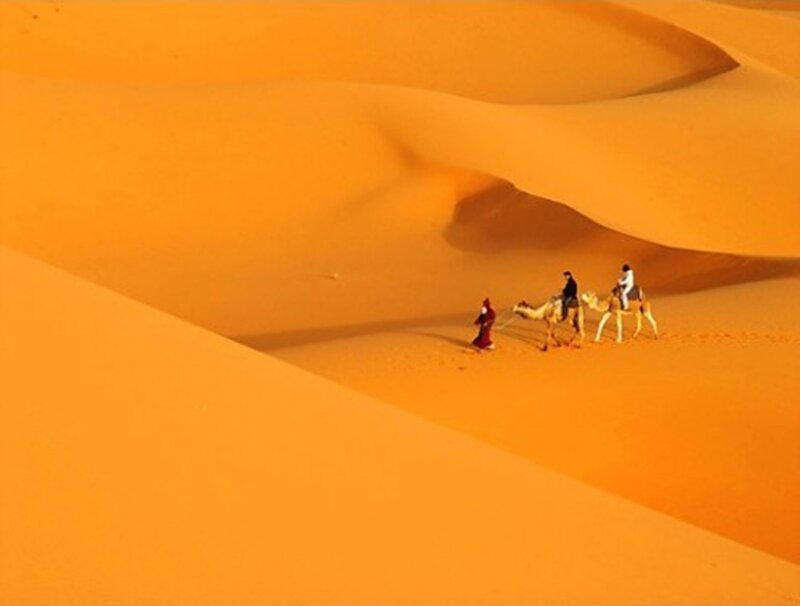 People on Camels in Desert