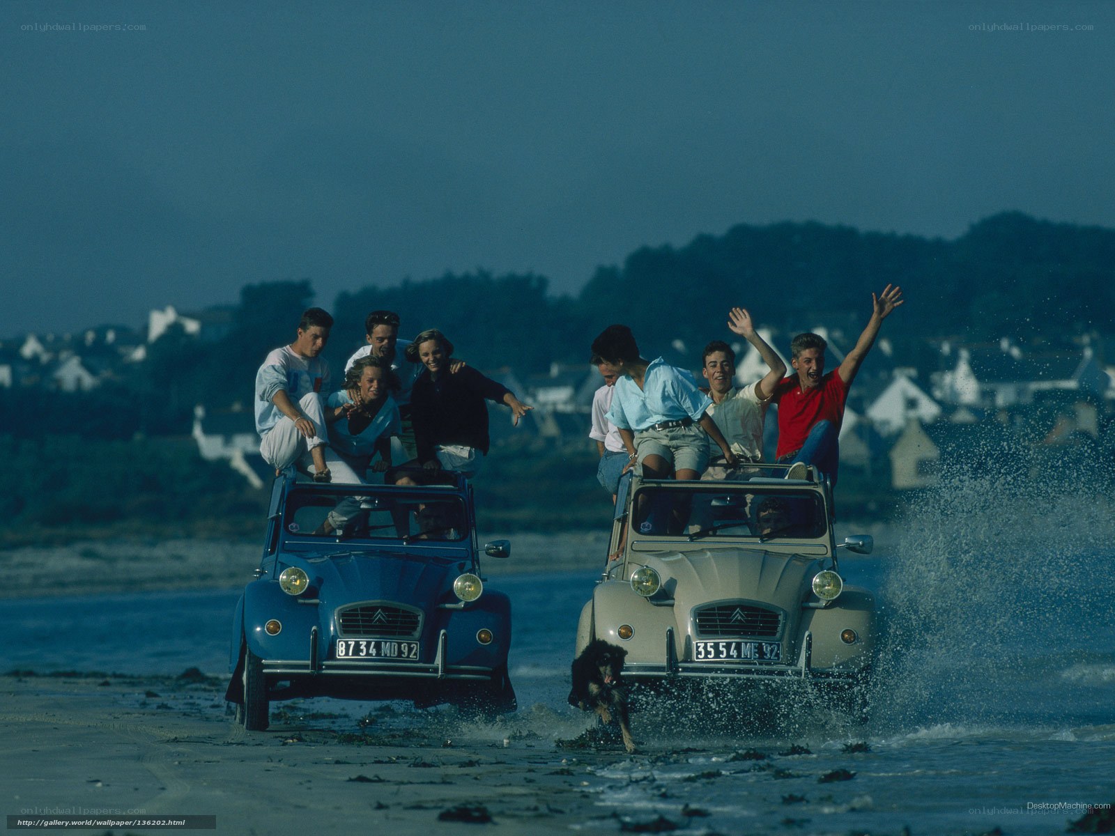 People on cars at the beach