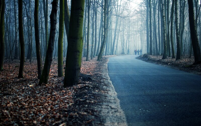 People on Forest Path — Blue