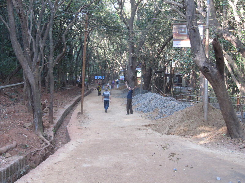 People on Forest Path