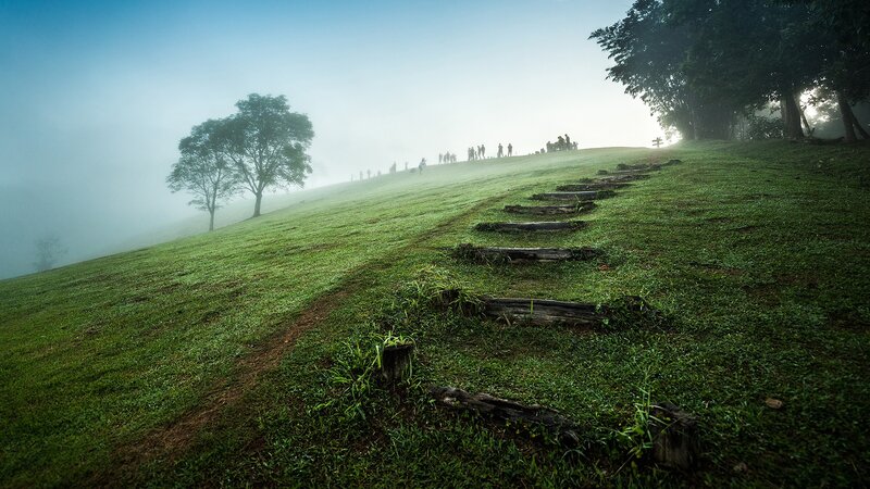 People on Grassy Hill — Green