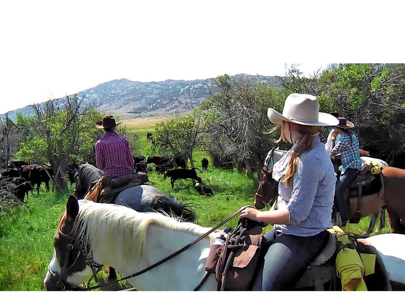 People on Horseback — Green, Outdoor
