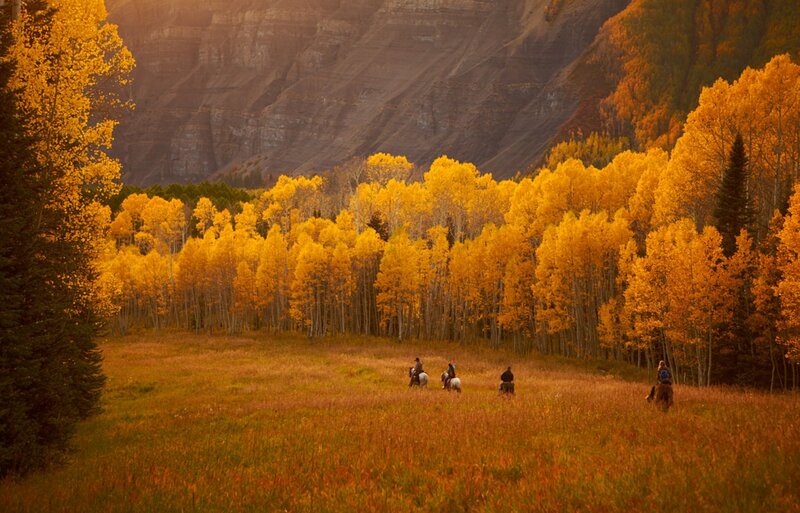 People on Horseback — Yellow
