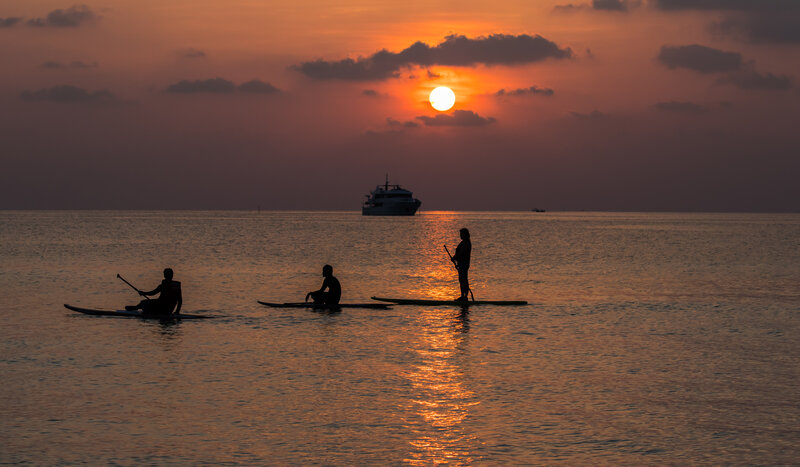 People on Paddleboards