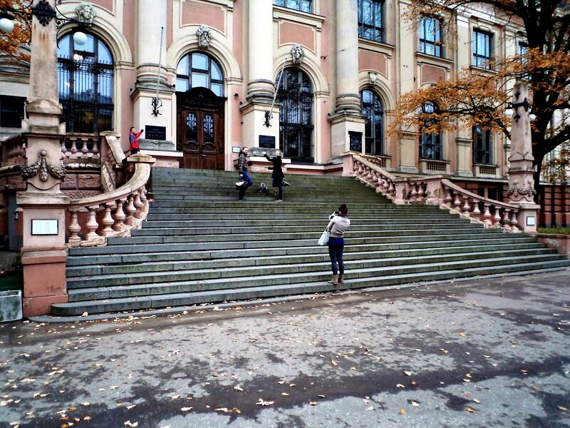 People on Stone Steps — Gray