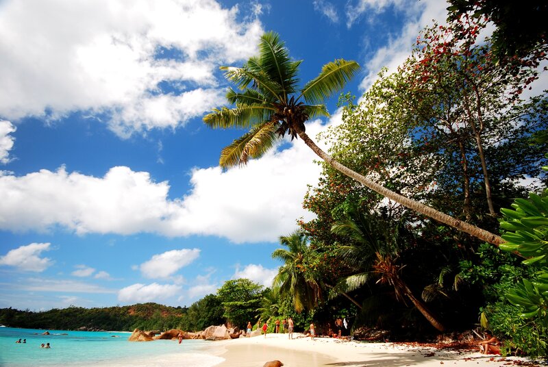People on Tropical Beach — Blue, Serene, Afternoon, Photograph, Palm Tree
