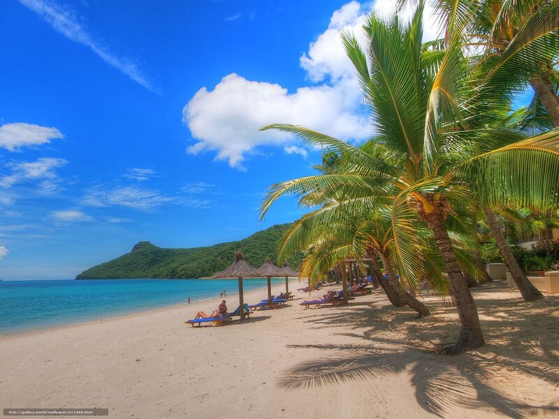 People on Tropical Beach — Blue, Serene, Afternoon, Photograph, Palm Trees