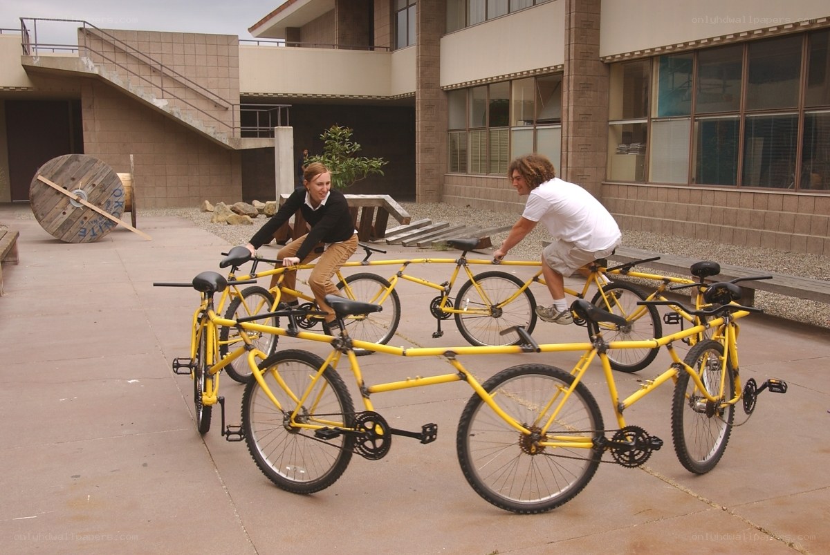People on yellow bicycles