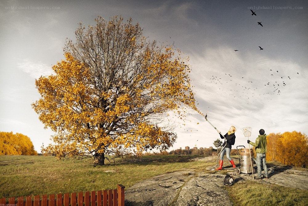 People raking autumn leaves