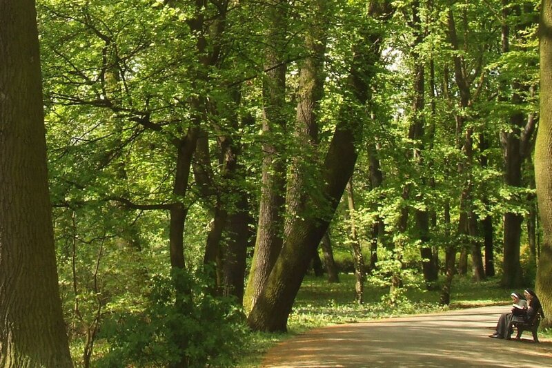 People reading in a forest park