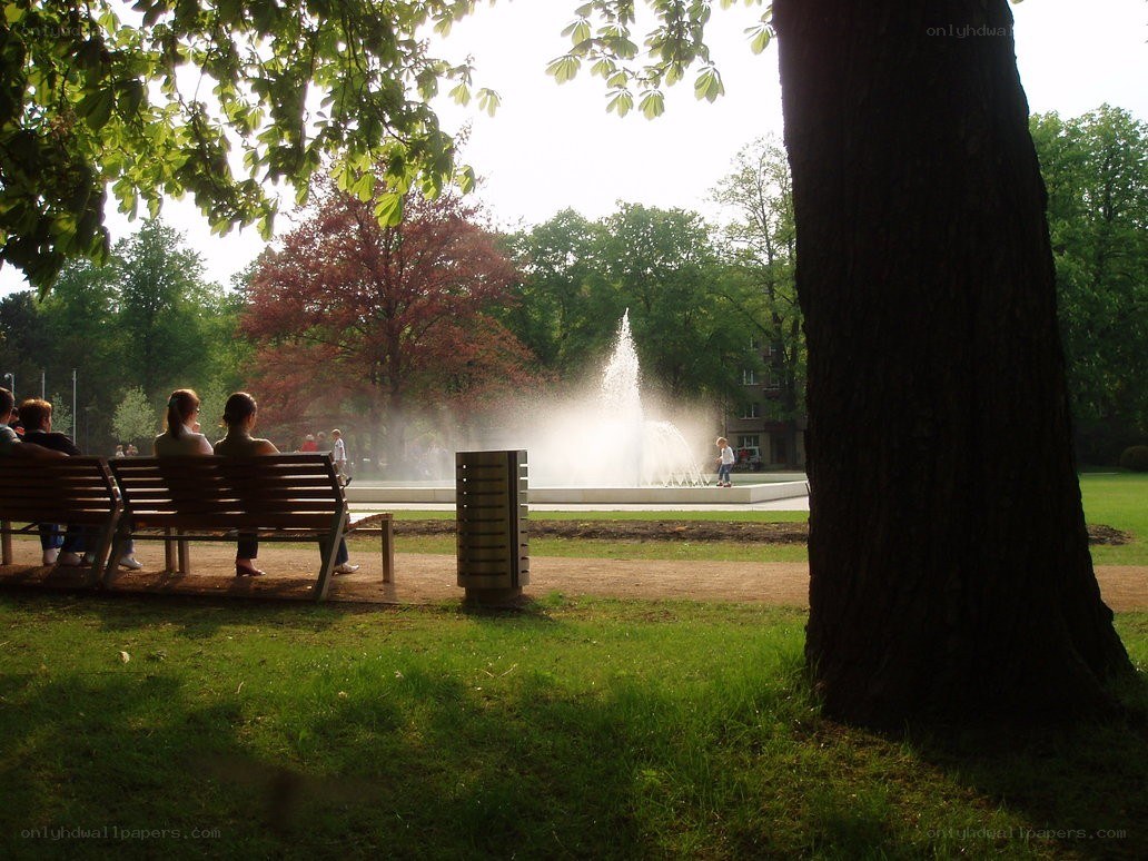 People relaxing in a park