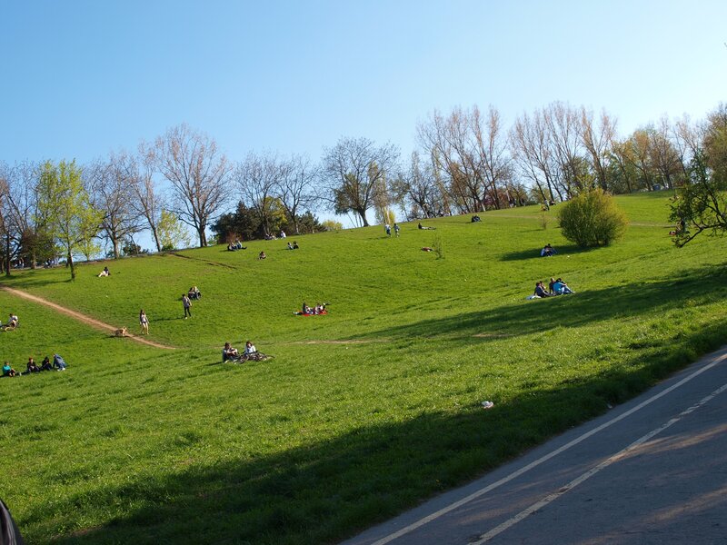 People relaxing on a grassy hill