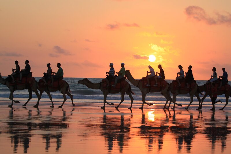 People Riding Camels — Orange