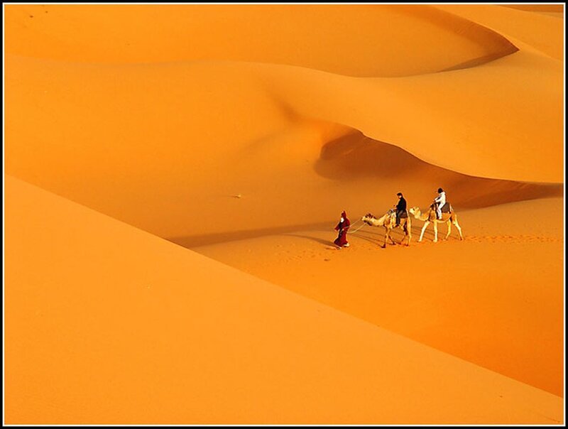 People Riding Camels