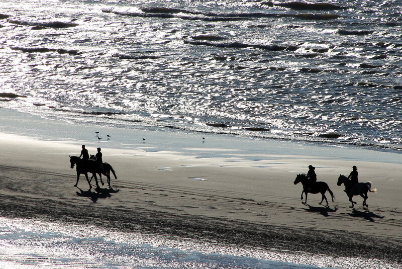 People Riding Horses — Black, Serene