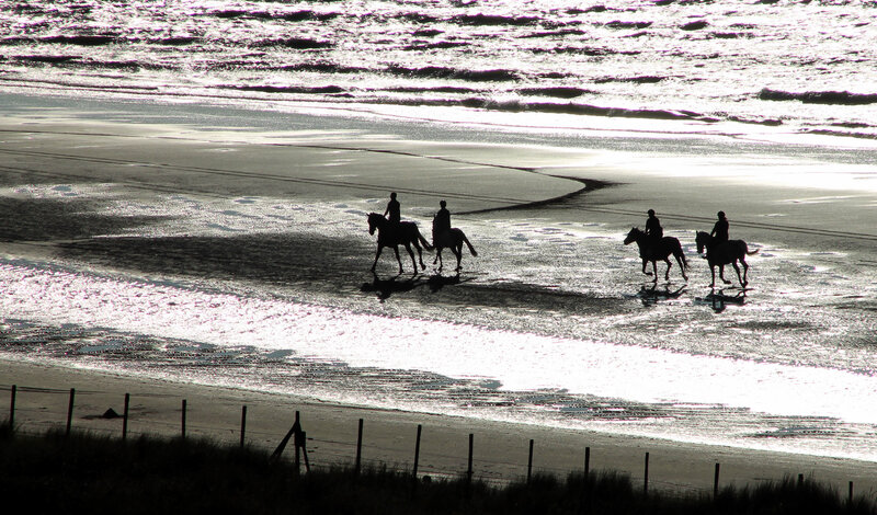 People Riding Horses — Black