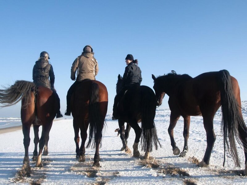 People Riding Horses — Blue