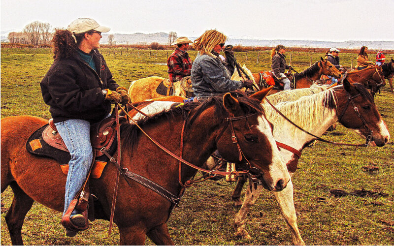People Riding Horses — Brown