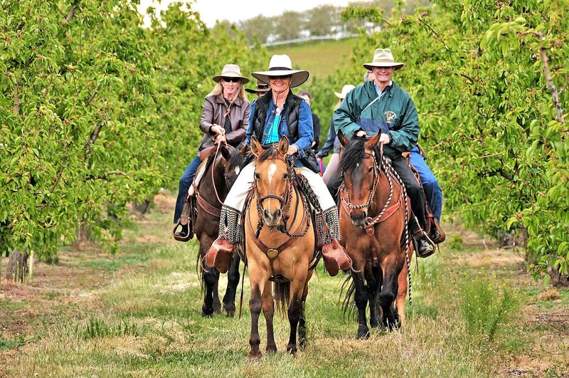 People Riding Horses — Green, Peaceful